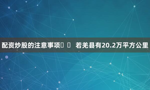 配资炒股的注意事项‌‌ 若羌县有20.2万平方公里