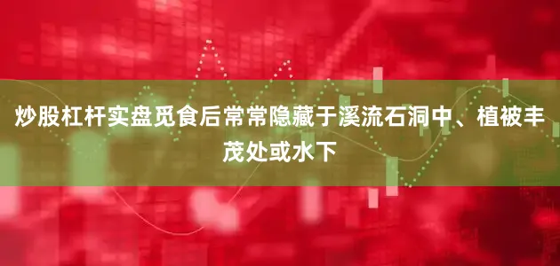 炒股杠杆实盘觅食后常常隐藏于溪流石洞中、植被丰茂处或水下