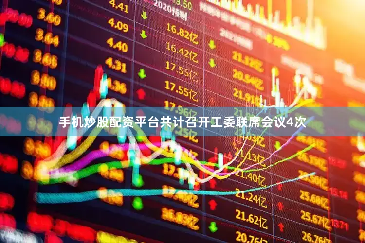 手机炒股配资平台共计召开工委联席会议4次