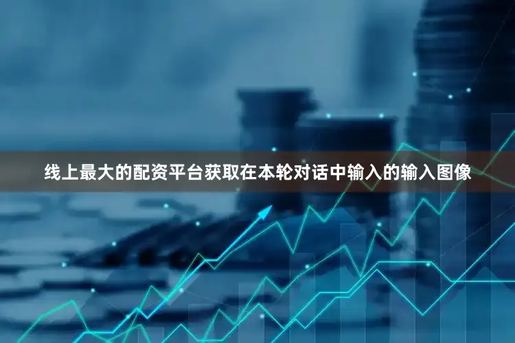 线上最大的配资平台获取在本轮对话中输入的输入图像