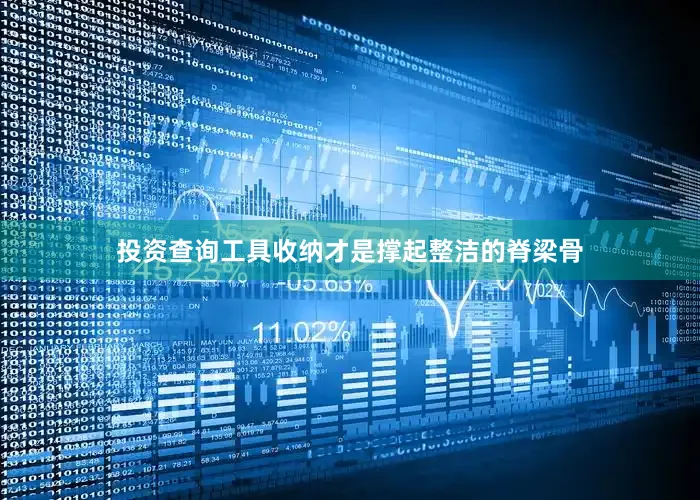 投资查询工具收纳才是撑起整洁的脊梁骨